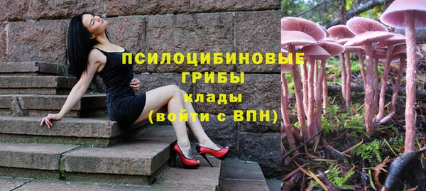 jwh Арсеньев