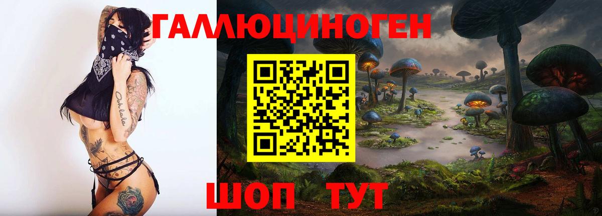 Фролово  Псилоцибиновые грибы Psilocybine cubensis  Вход с VPN 